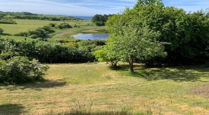 Photo of "Stygg" - 400m from the sea