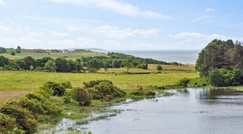 Photo of "Stygg" - 400m from the sea