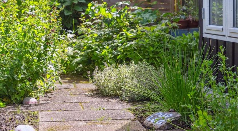 Photo of "Antonie" - 700m from the sea