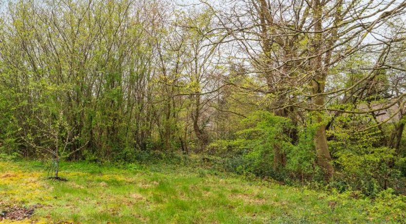 Photo of "Avni" - 300m from the sea