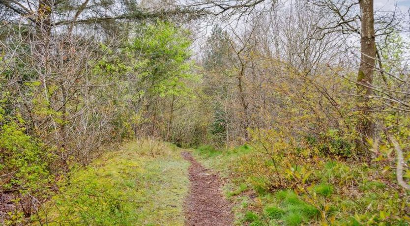 Photo of "Avni" - 300m from the sea