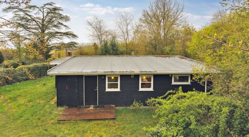 Photo of "Avni" - 300m from the sea