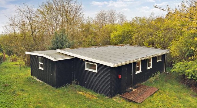 Photo of "Avni" - 300m from the sea