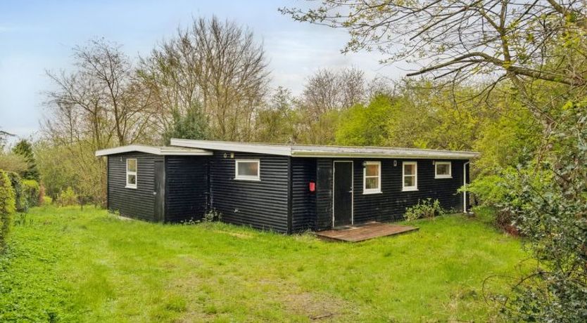 Photo of "Avni" - 300m from the sea