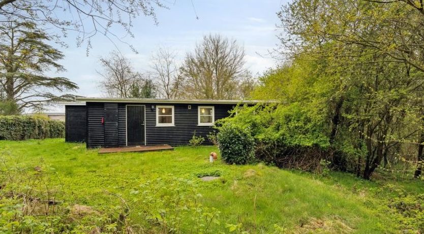 Photo of "Avni" - 300m from the sea