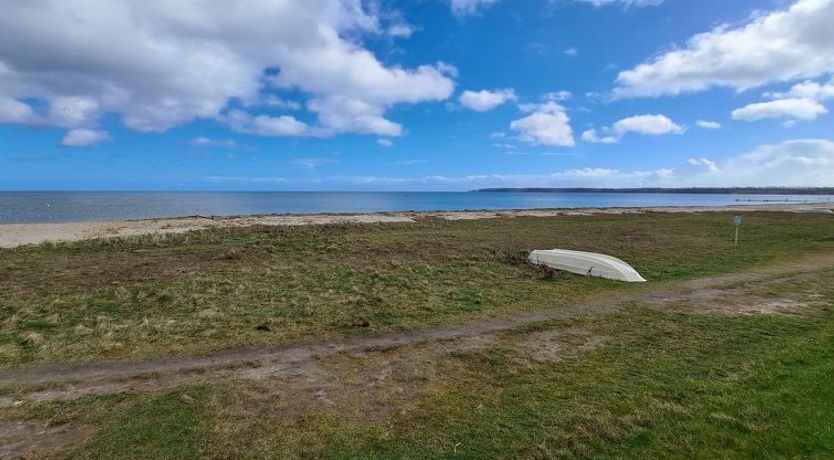 Photo of "Dory" - 30m from the sea