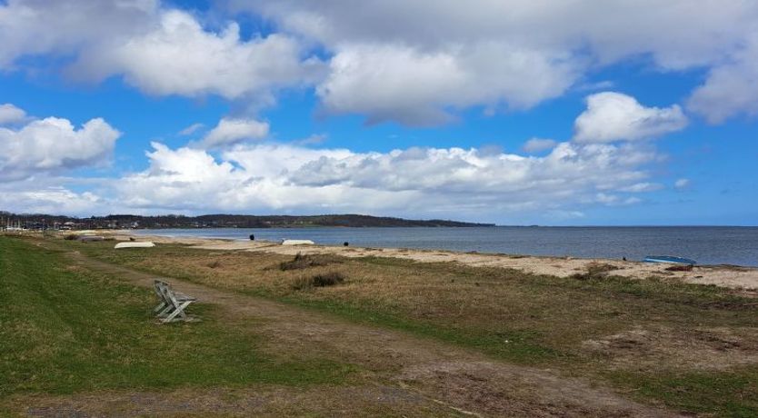 Photo of "Dory" - 30m from the sea