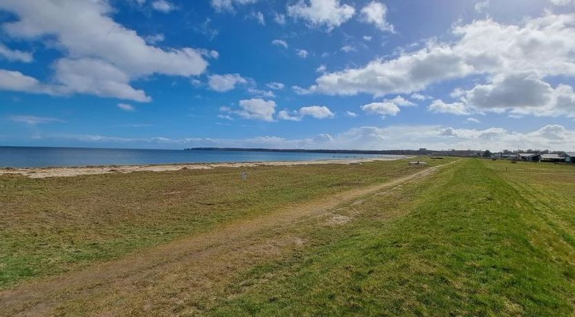 Photo of "Dory" - 30m from the sea