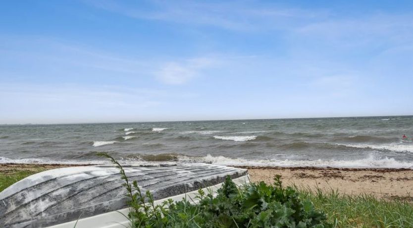 Photo of "Dory" - 30m from the sea