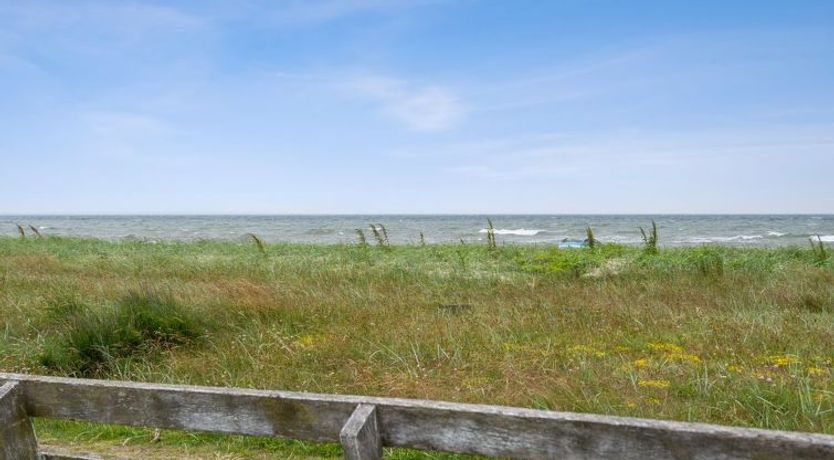 Photo of "Dory" - 30m from the sea