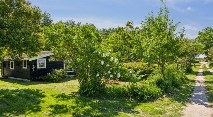 Photo of "Benthe" - 200m from the sea