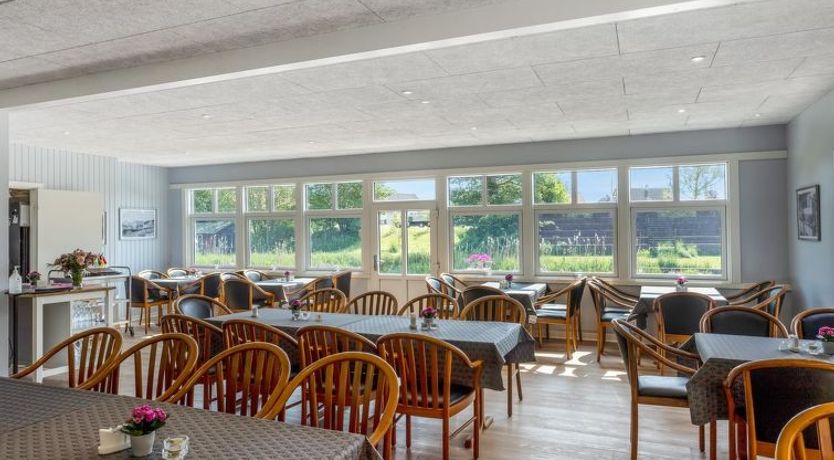 Photo of "Gilbert" - 500m from the sea