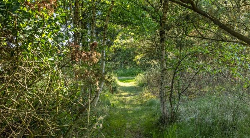 Photo of "Einette" - 100m from the sea