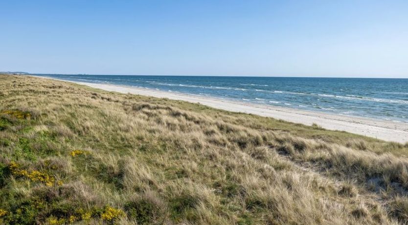 Photo of "Einette" - 100m from the sea