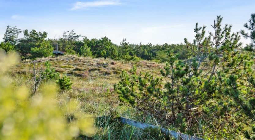 Photo of "Blaguna" - 600m from the sea