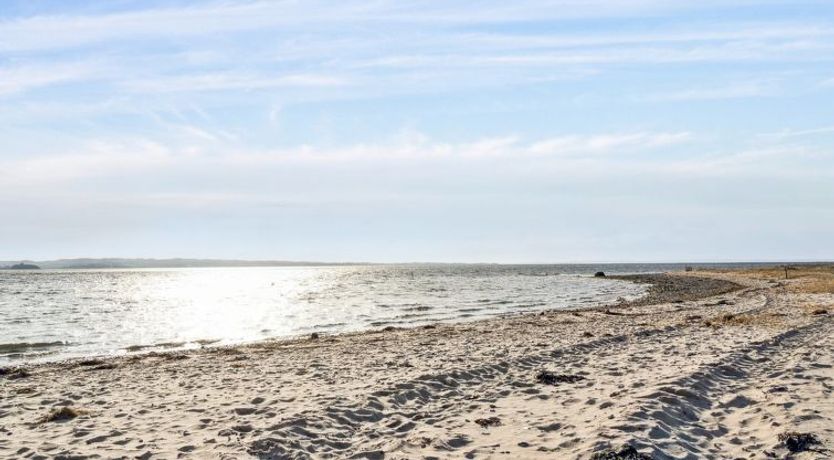 Photo of "Gyrid" - 150m from the sea