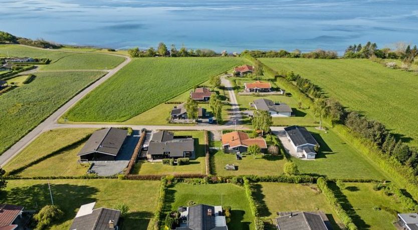 Photo of "Manfred" - 250m from the sea