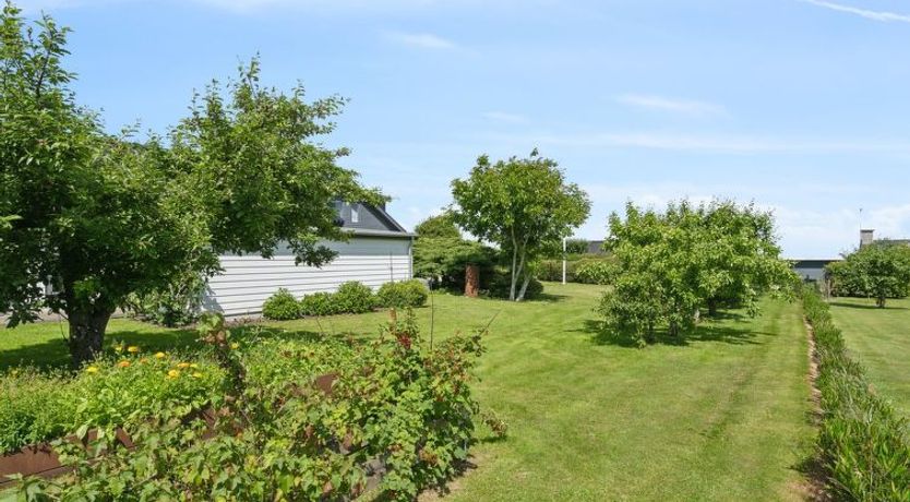 Photo of "Alona" - 90m from the sea