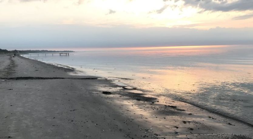 Photo of "Alona" - 90m from the sea