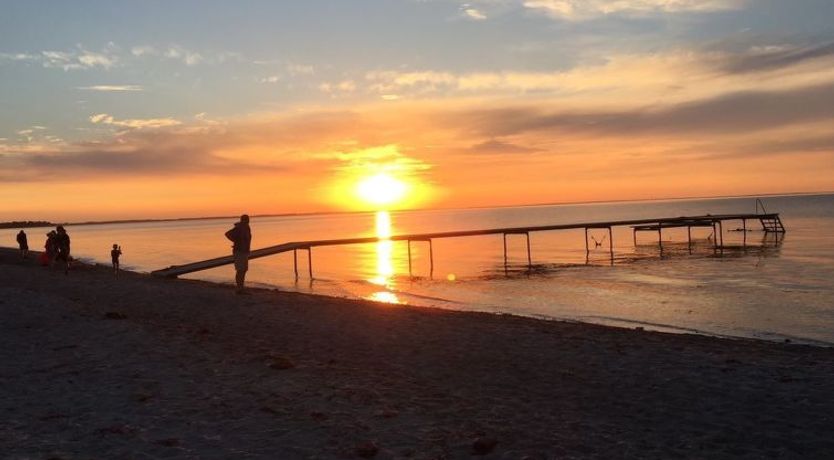 Photo of "Alona" - 90m from the sea