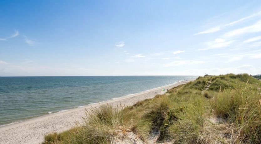 Photo of "Selle" - 100m from the sea