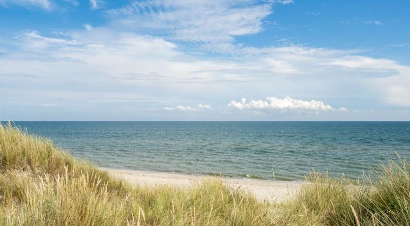 Photo of "Selle" - 100m from the sea