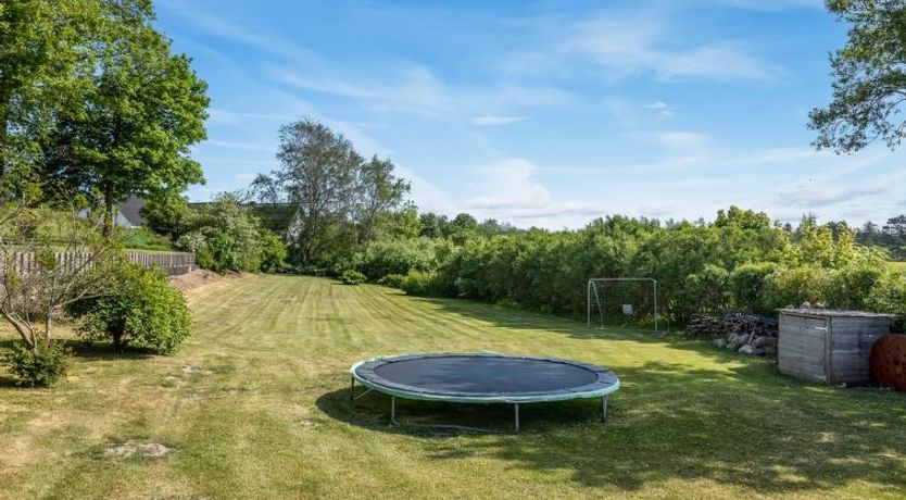 Photo of "Veronica" - 700m from the sea