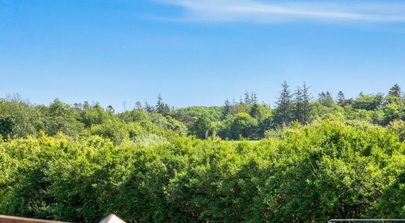 Photo of "Veronica" - 700m from the sea