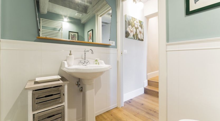 Photo of Flower of Florence