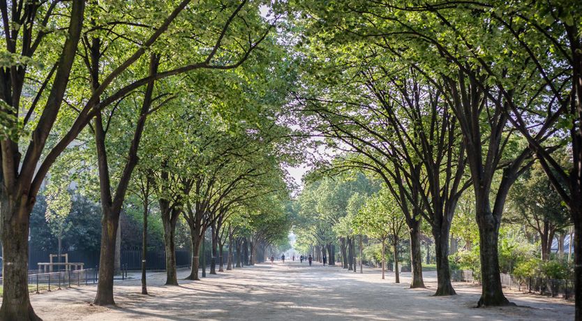 Photo of La Pièce de Résistance