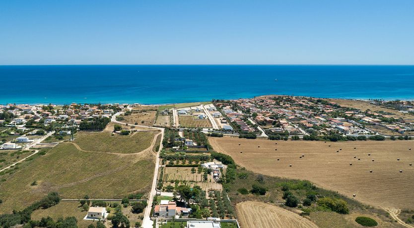 Photo of The Mariachi
