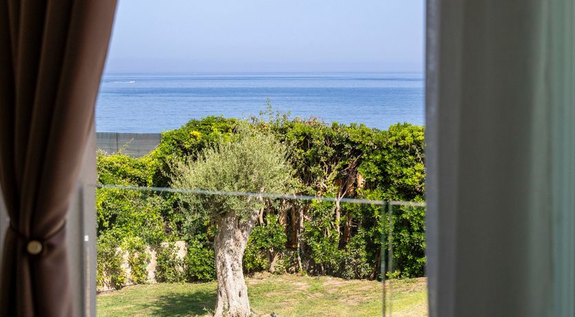 Photo of Noto's Oasis