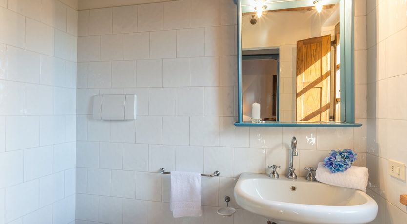 Photo of Campanella Rose