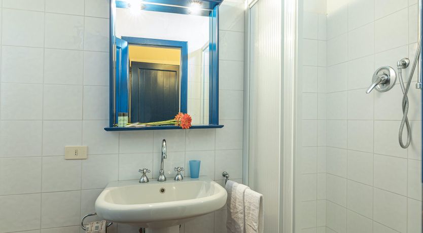 Photo of Campanella Rose