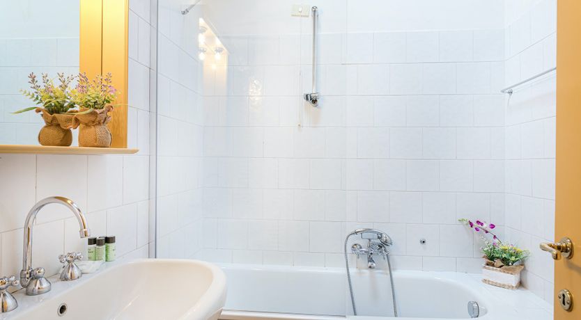 Photo of Campanella Rose