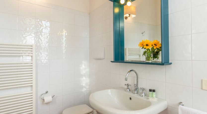 Photo of Campanella Rose