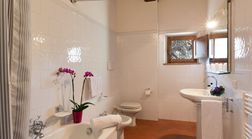 Photo of Campanella Rose