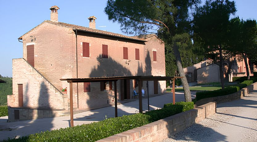 Photo of Campanella Rose