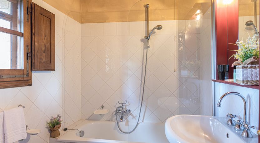 Photo of Campanella Rose