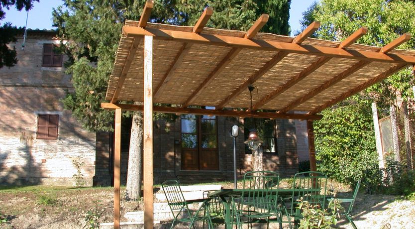 Photo of Campanella Rose