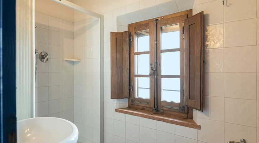 Photo of Campanella Rose