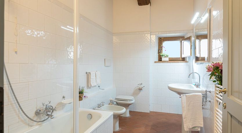 Photo of Campanella Rose