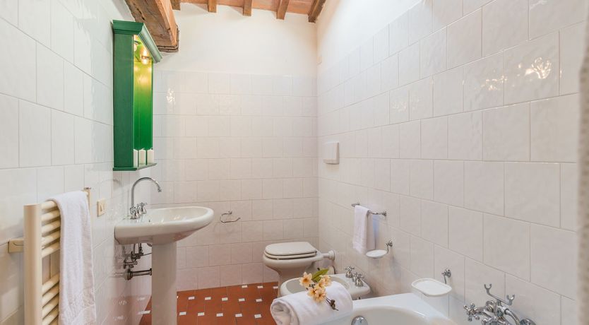 Photo of Campanella Rose