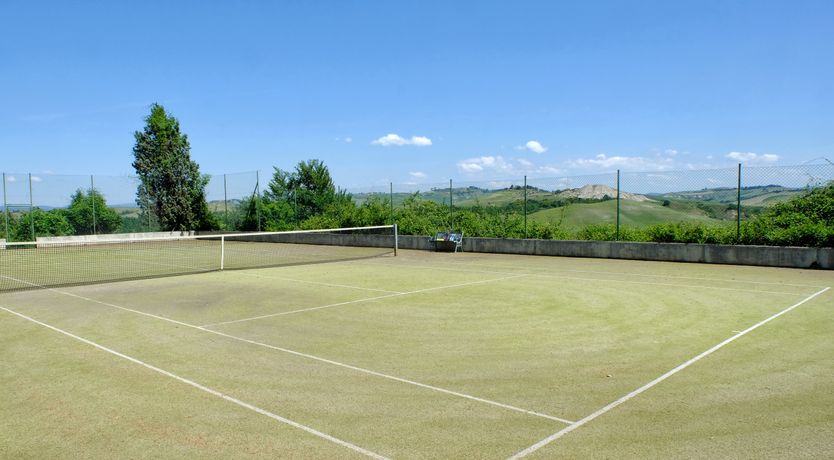 Photo of Campanella Rose