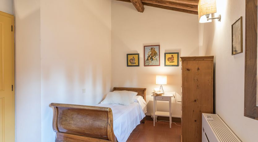 Photo of Campanella Rose