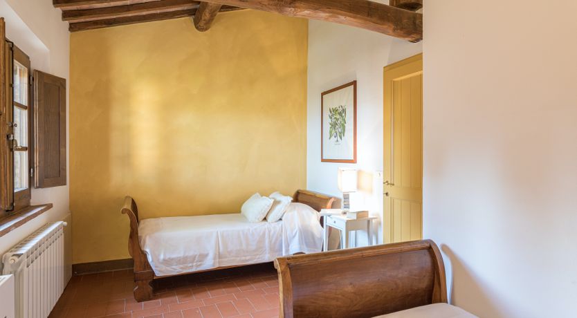 Photo of Campanella Rose