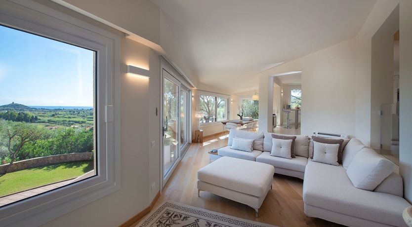 Photo of The Grapes of Life