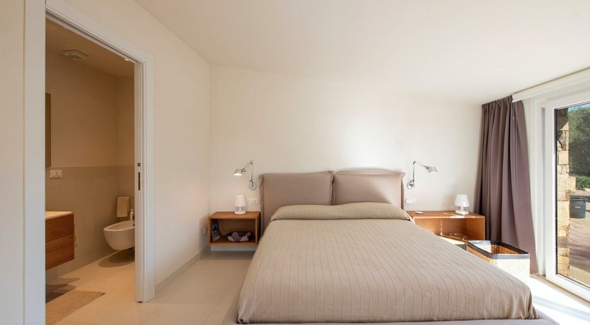 Photo of The Grapes of Life