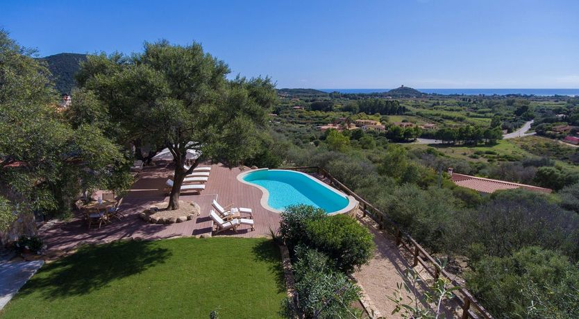 Photo of The Grapes of Life