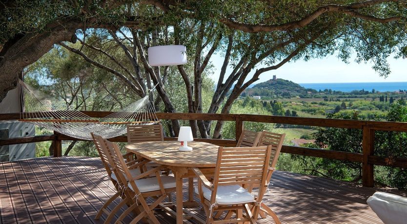 Photo of The Grapes of Life